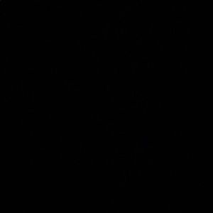 Meet your Posher, Donavan